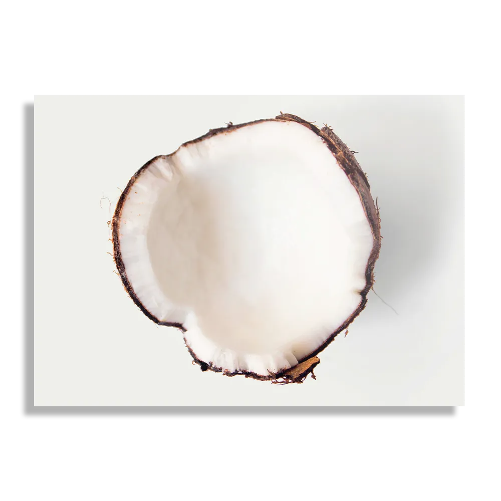 Schilderij Coconut Rechthoek Horizontaal Template DB 50 70 Horizontaal Eten En Drinken 3 1