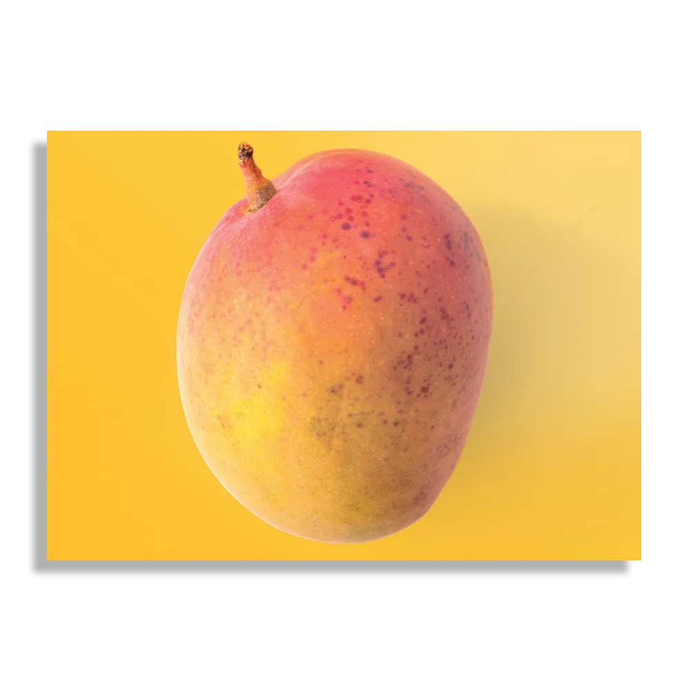 Schilderij Mango Rechthoek Horizontaal Template DB 50 70 Horizontaal Eten En Drinken 6 1