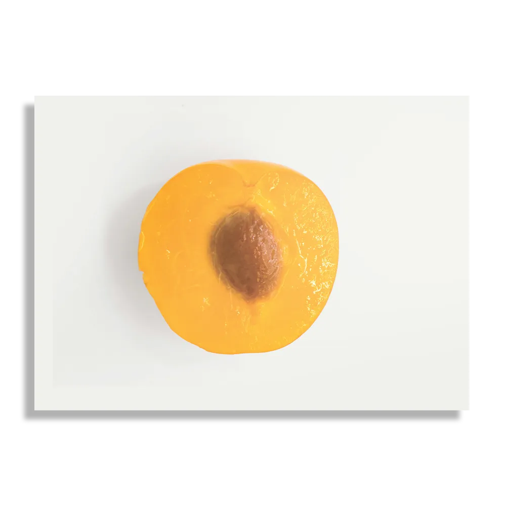 Schilderij Plum Pruim Oranje Rechthoek Horizontaal Template DB 50 70 Horizontaal Eten En Drinken 9 1