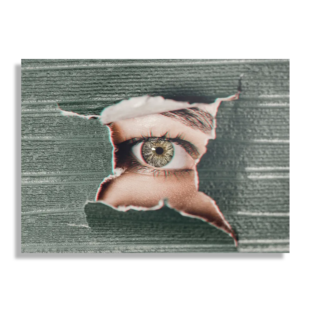 Template_DB_50-70_Horizontaal_Mensen_15-1 Schilderij I am Watching You Rechthoek Horizontaal Template DB 50 70 Horizontaal Mensen 15 1