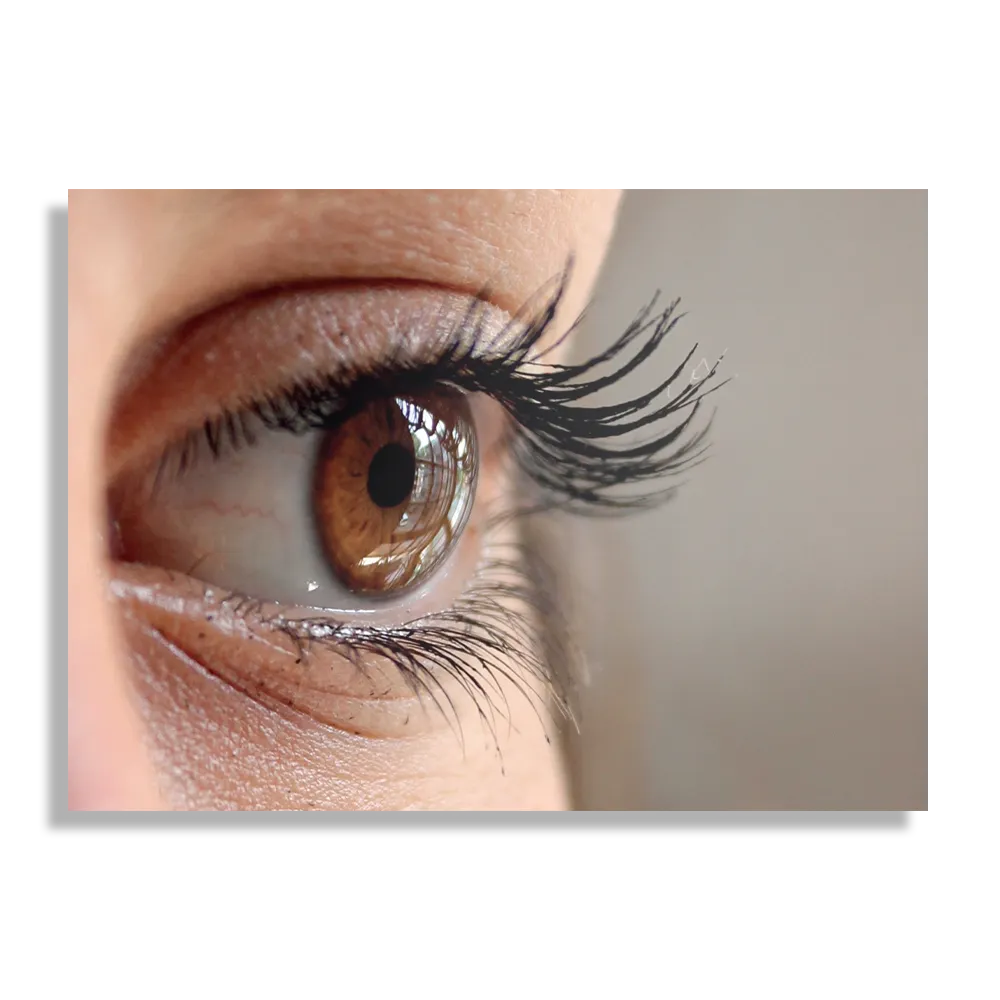 Schilderij Het Bruine Oog Rechthoek Horizontaal Template DB 50 70 Horizontaal Mensen 19 1