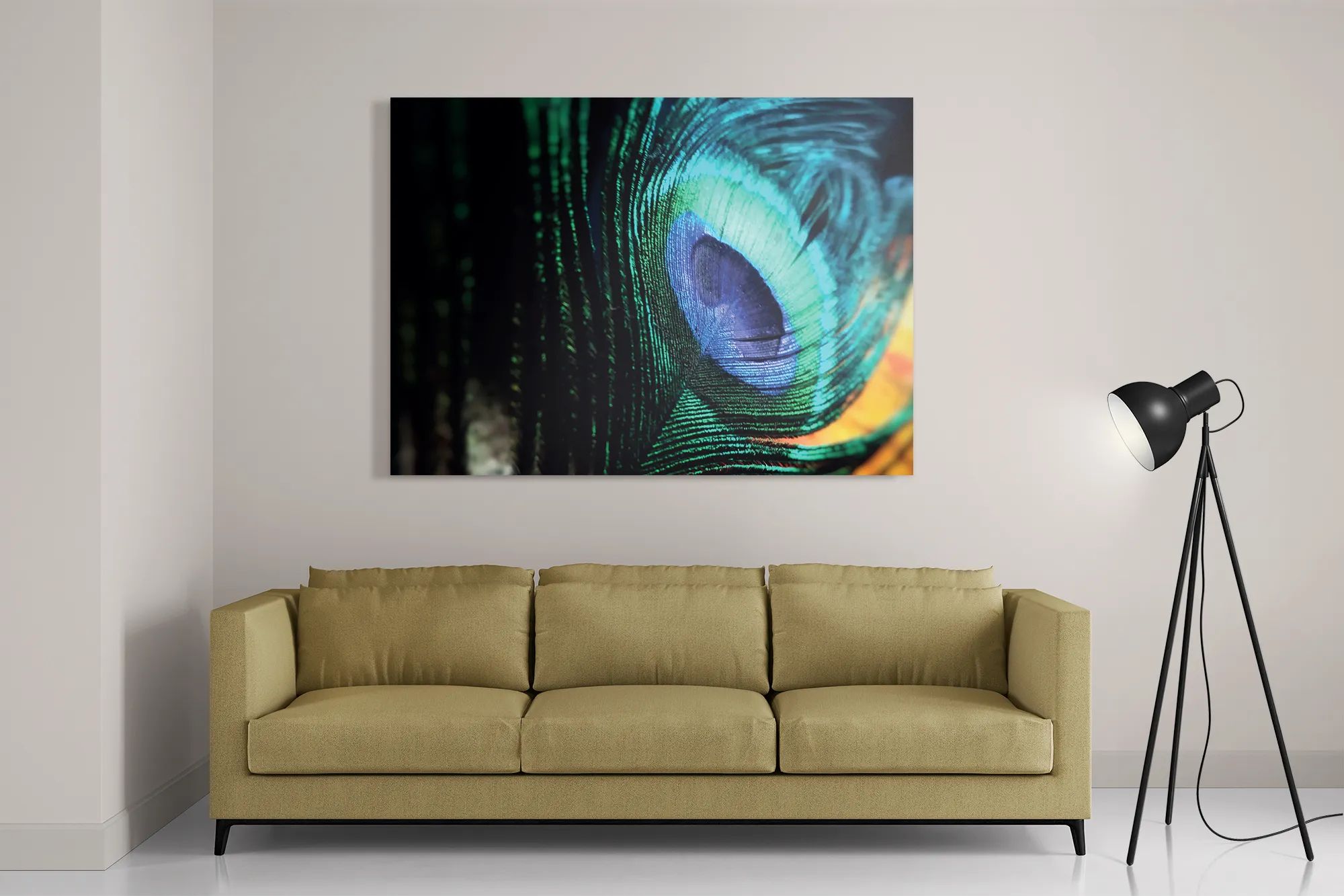 Schilderij Een veer van de Pauw Rechthoek Horizontaal Template DB 50 70 Horizontaal Natuur 11 2