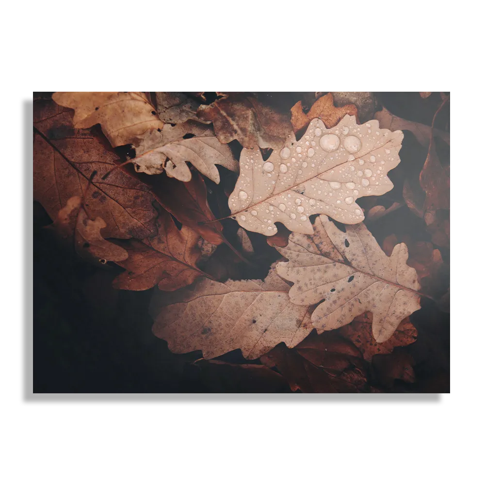 Schilderij Herfstweer Rechthoek Horizontaal Template DB 50 70 Horizontaal Natuur 13 1
