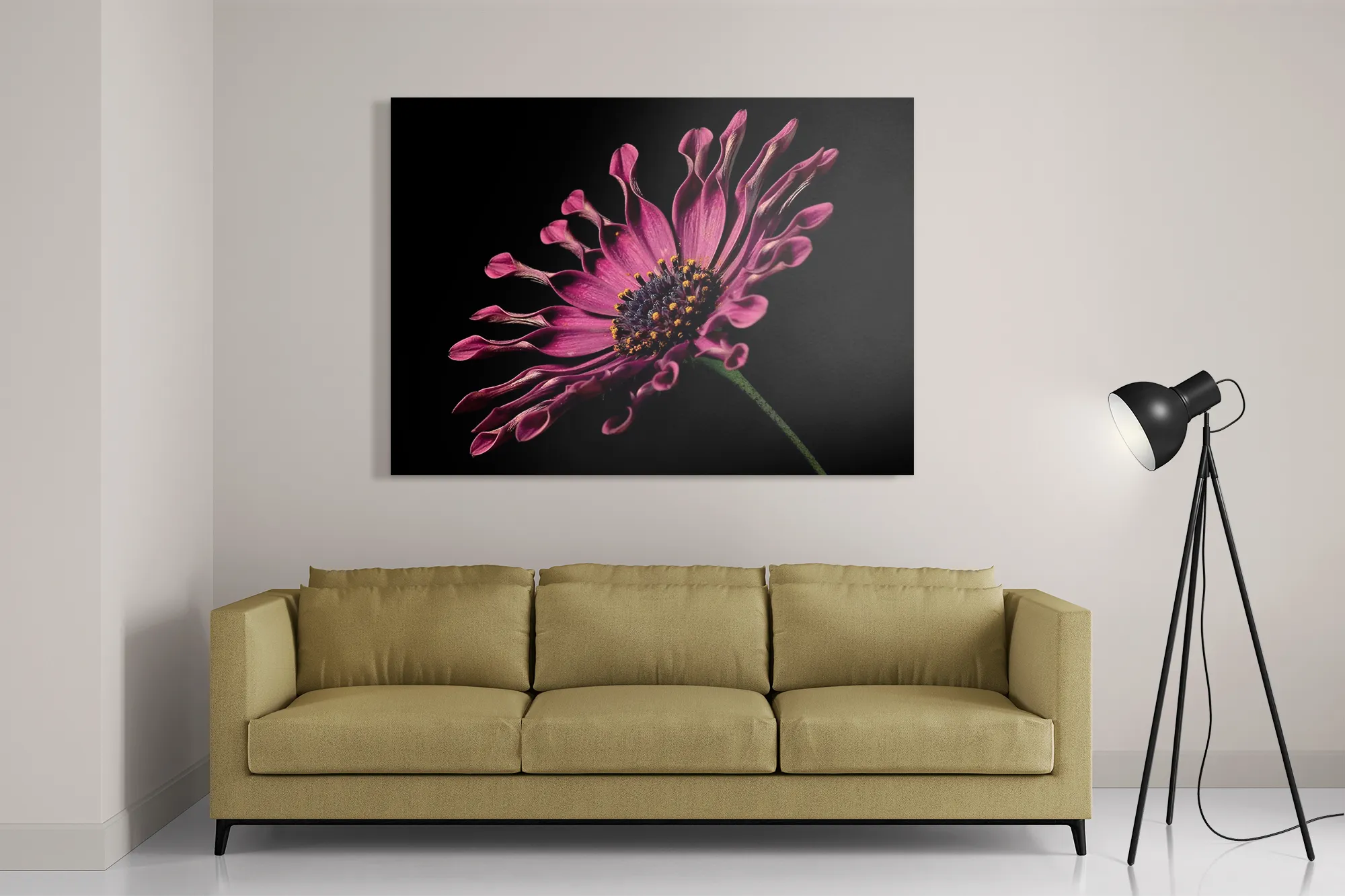 Template_DB_50-70_Horizontaal_Natuur_22-2 Schilderij Aster Bloem Rechthoek Horizontaal Template DB 50 70 Horizontaal Natuur 22 2