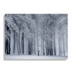 Schilderij Het winterse bos Rechthoek Horizontaal Template DB 50 70 Horizontaal Natuur 27 1