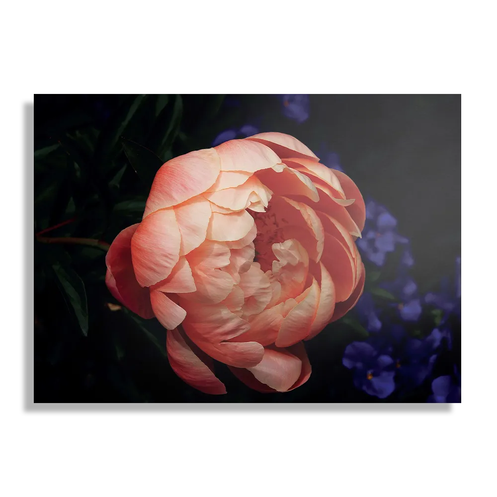 Schilderij Dromen in Hawaii Rechthoek Horizontaal Template DB 50 70 Horizontaal Natuur 29 1