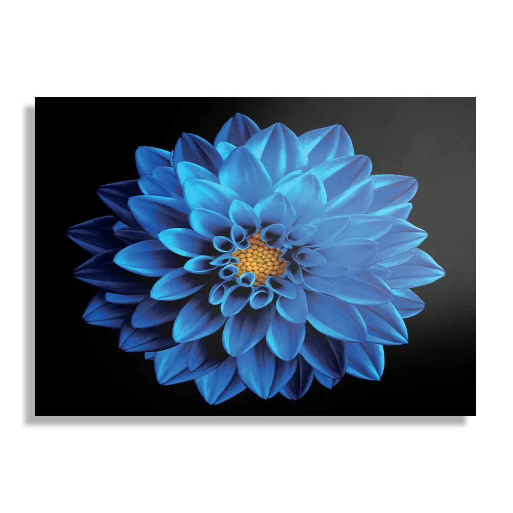 Schilderij Blauwe Dahlia Rechthoek Horizontaal Template DB 50 70 Horizontaal Natuur 54 1