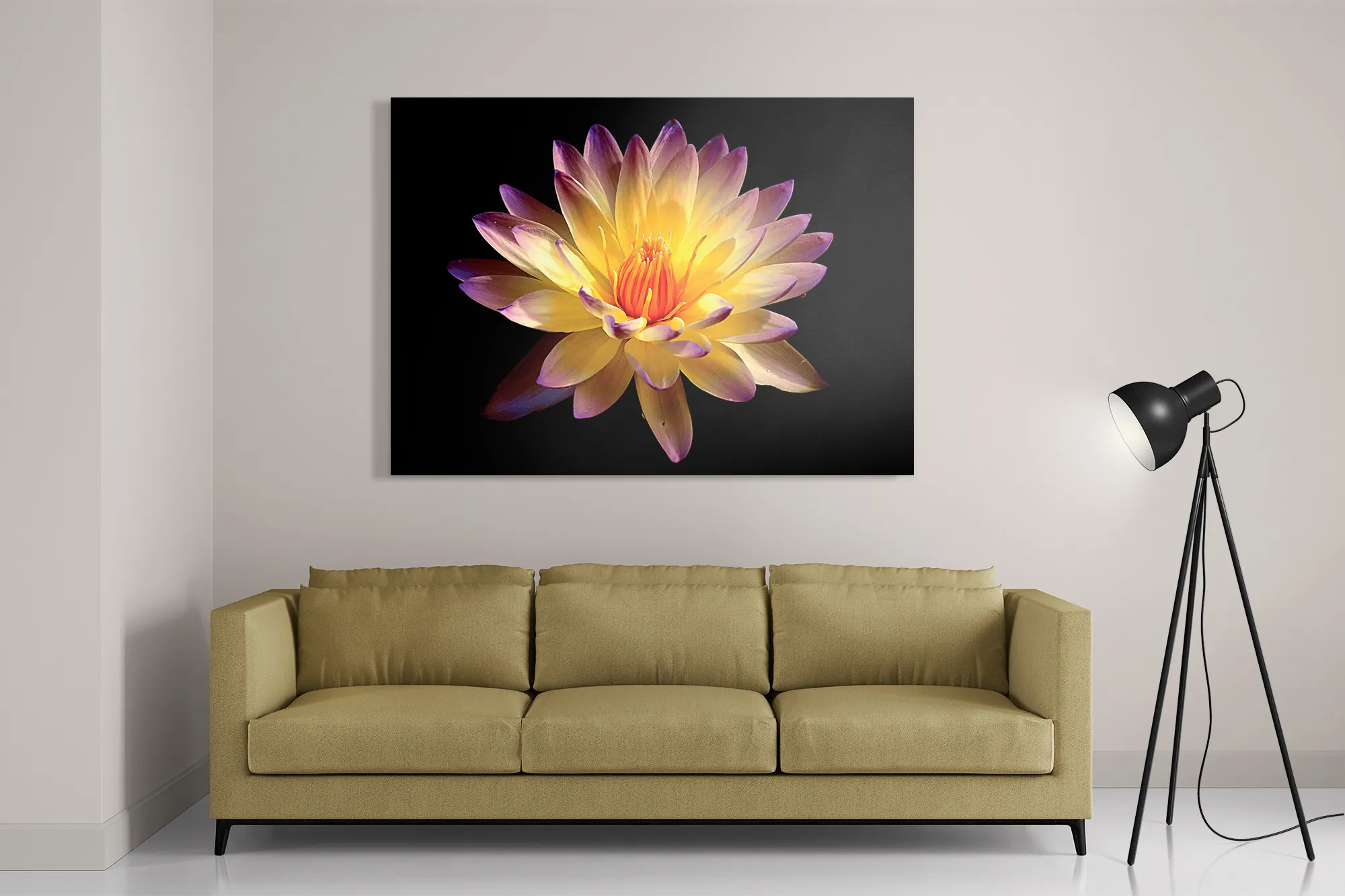 Schilderij Paarse Gele Dahlia Rechthoek Horizontaal Template DB 50 70 Horizontaal Natuur 60 2
