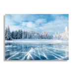 Schilderij Ijzige winter Rechthoek Horizontaal Template DB 50 70 Horizontaal Natuur 63 1