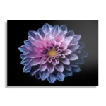 Template_DB_50-70_Horizontaal_Natuur_67-1 Schilderij Paarse Dahlia Rechthoek Horizontaal Template DB 50 70 Horizontaal Natuur 67 1