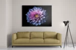 Template_DB_50-70_Horizontaal_Natuur_67-2 Schilderij Paarse Dahlia Rechthoek Horizontaal Template DB 50 70 Horizontaal Natuur 67 2