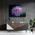 Template_DB_50-70_Horizontaal_Natuur_67-3 Schilderij Paarse Dahlia Rechthoek Horizontaal Template DB 50 70 Horizontaal Natuur 67 3