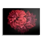 Template_DB_50-70_Horizontaal_Natuur_75-1 Schilderij Rood Paarse Dahlia Rechthoek Horizontaal Template DB 50 70 Horizontaal Natuur 75 1