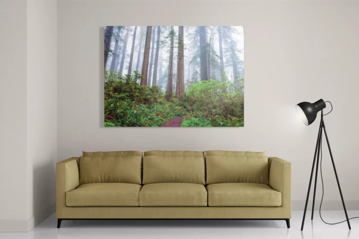 Schilderij Sequoia bos Rechthoek Horizontaal Template DB 50 70 Horizontaal Natuur 88 2