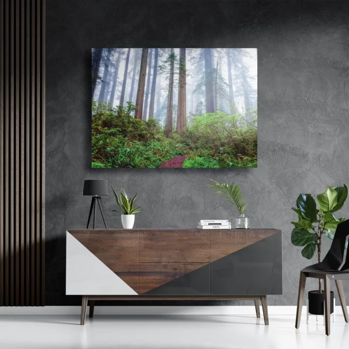 Schilderij Sequoia bos Rechthoek Horizontaal Template DB 50 70 Horizontaal Natuur 88 3