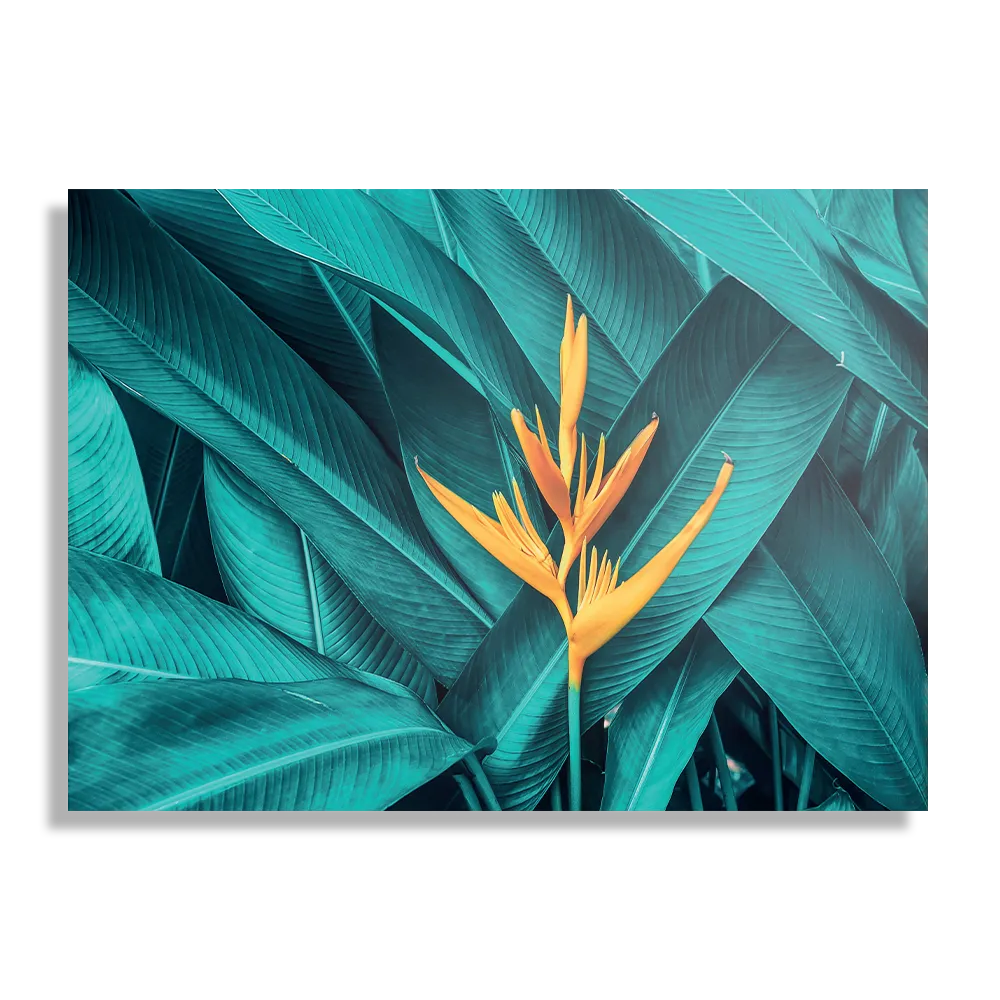 Template_DB_50-70_Horizontaal_Natuur_91-1 Schilderij Gele bloem in een blauw bladerdeken Rechthoek Horizontaal Template DB 50 70 Horizontaal Natuur 91 1