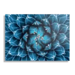 Template_DB_50-70_Horizontaal_Natuur_92-1 Schilderij Kleurrijke bloem 1 Rechthoek Horizontaal Template DB 50 70 Horizontaal Natuur 92 1