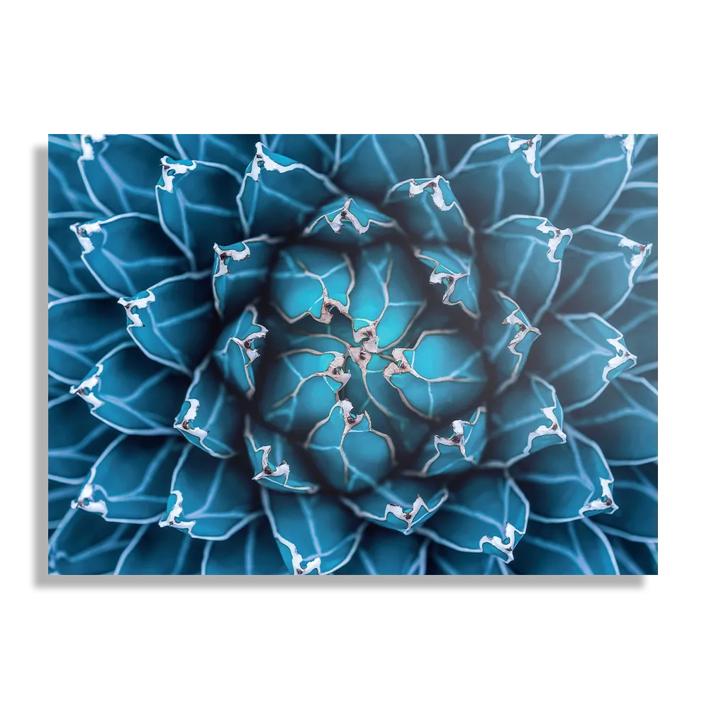 Template_DB_50-70_Horizontaal_Natuur_92-1 Schilderij Kleurrijke bloem 1 Rechthoek Horizontaal Template DB 50 70 Horizontaal Natuur 92 1