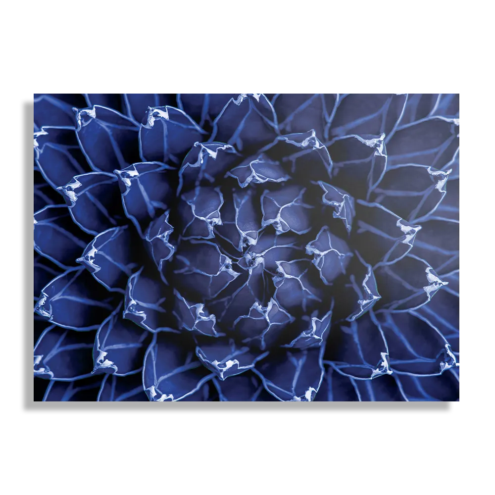 Schilderij Kleurrijke bloem 2 Rechthoek Horizontaal Template DB 50 70 Horizontaal Natuur 93 1