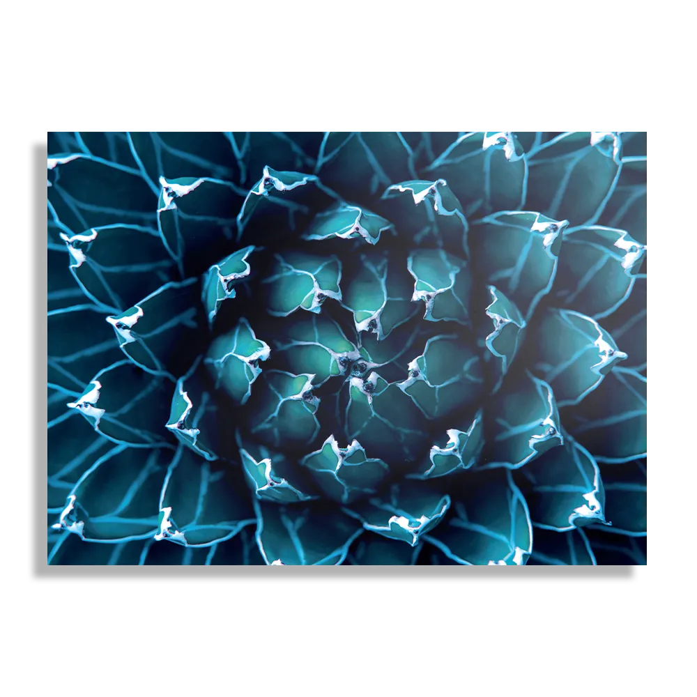 Template_DB_50-70_Horizontaal_Natuur_94-1 Schilderij Kleurrijke bloem 3 Rechthoek Horizontaal Template DB 50 70 Horizontaal Natuur 94 1