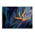 Schilderij Heliconia bloem op donkere achtergrond Rechthoek Horizontaal Template DB 50 70 Horizontaal Natuur 95 1