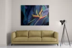 Schilderij Heliconia bloem op donkere achtergrond Rechthoek Horizontaal Template DB 50 70 Horizontaal Natuur 95 2