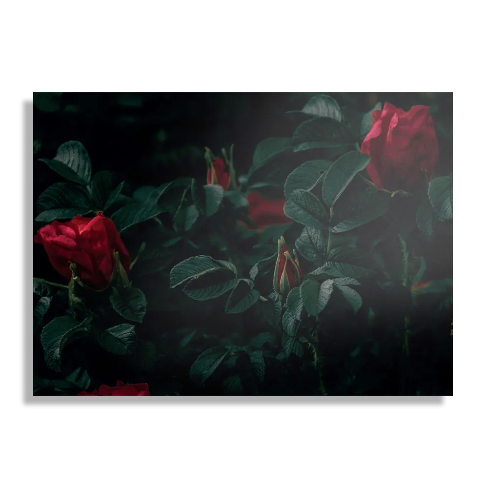 Schilderij Romantische Rozen Rechthoek Horizontaal Template DB 50 70 Horizontaal Romantisch 6 1