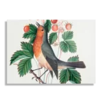 Schilderij Prent Natuur Vogel en Bloemen 11 Rechthoek Horizontaal Template DB 50 70 Horizontaal Vintage 11 1