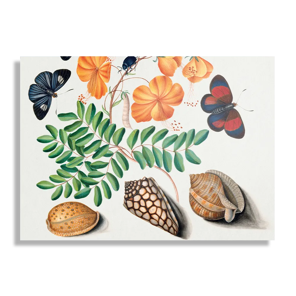 Schilderij Prent Natuur Vogel en Bloemen 13 Rechthoek Horizontaal Template DB 50 70 Horizontaal Vintage 13 1