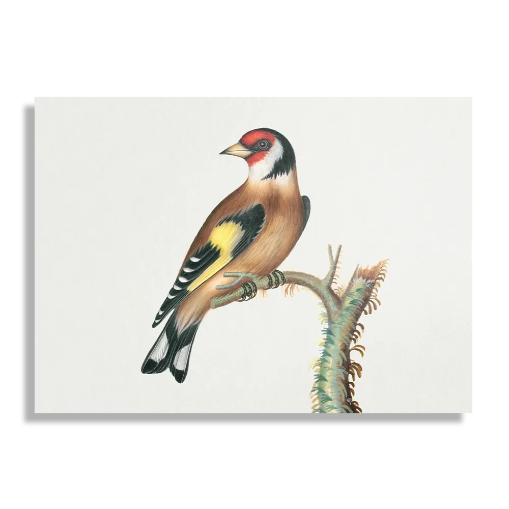 Schilderij Prent Natuur Vogel en Bloemen 15 Rechthoek Horizontaal Template DB 50 70 Horizontaal Vintage 15 1