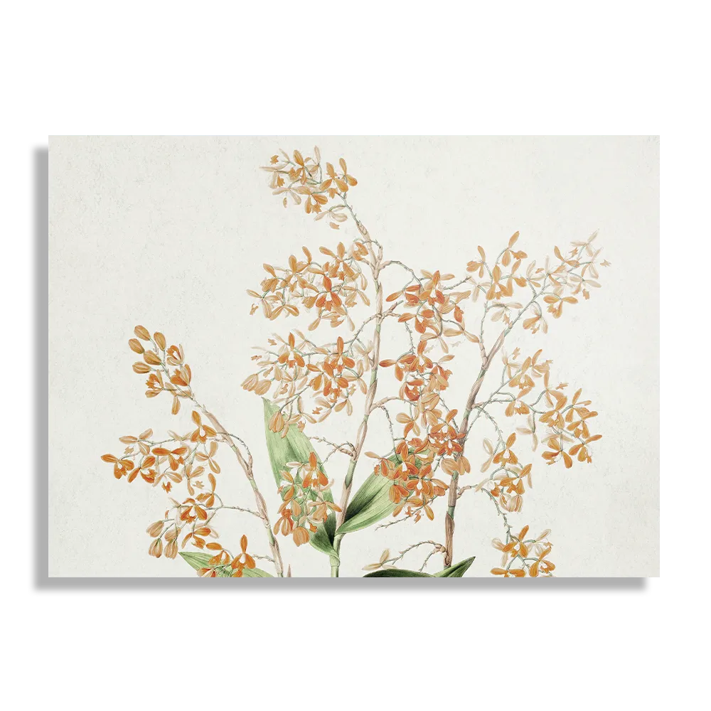 Template_DB_50-70_Horizontaal_Vintage_16-1 Schilderij Prent Bloemen Rechthoek Horizontaal Template DB 50 70 Horizontaal Vintage 16 1