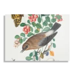 Schilderij Prent Natuur Vogel en Bloemen 05 Rechthoek Horizontaal Template DB 50 70 Horizontaal Vintage 5 1