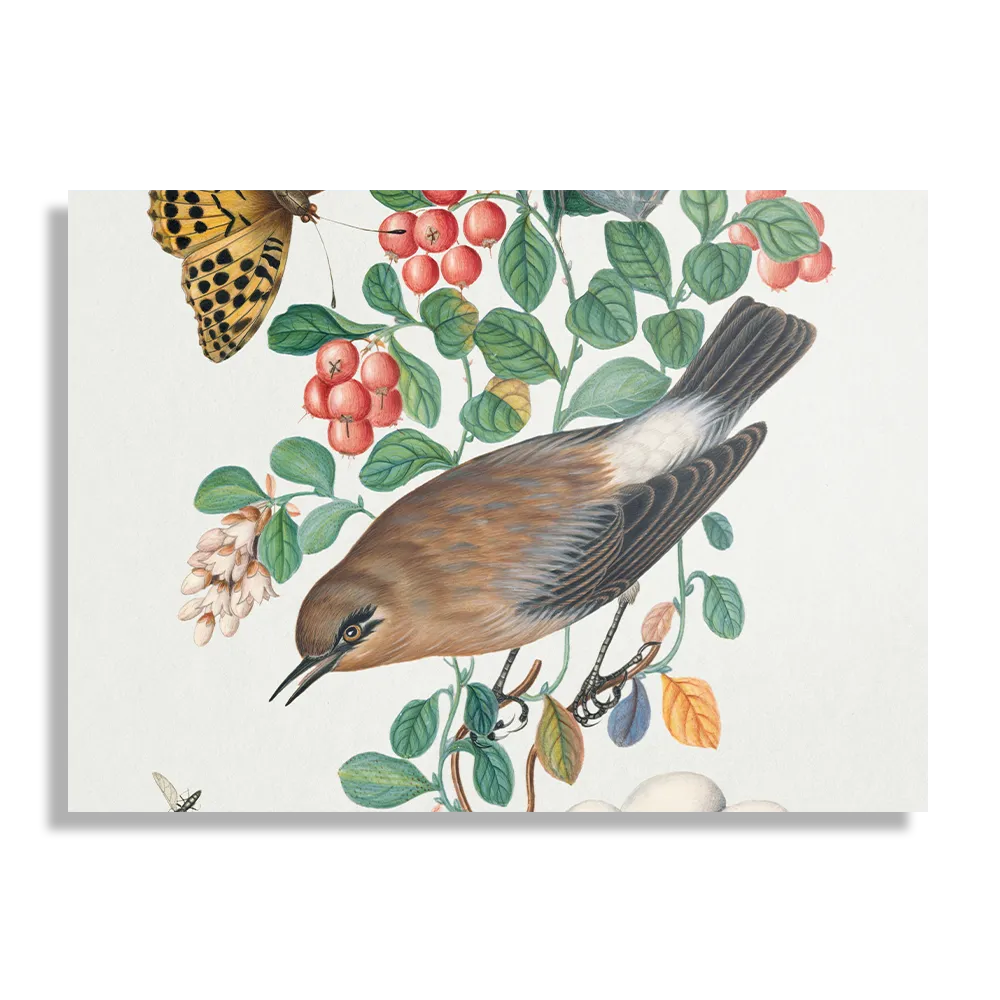 Schilderij Prent Natuur Vogel en Bloemen 05 Rechthoek Horizontaal Template DB 50 70 Horizontaal Vintage 5 1