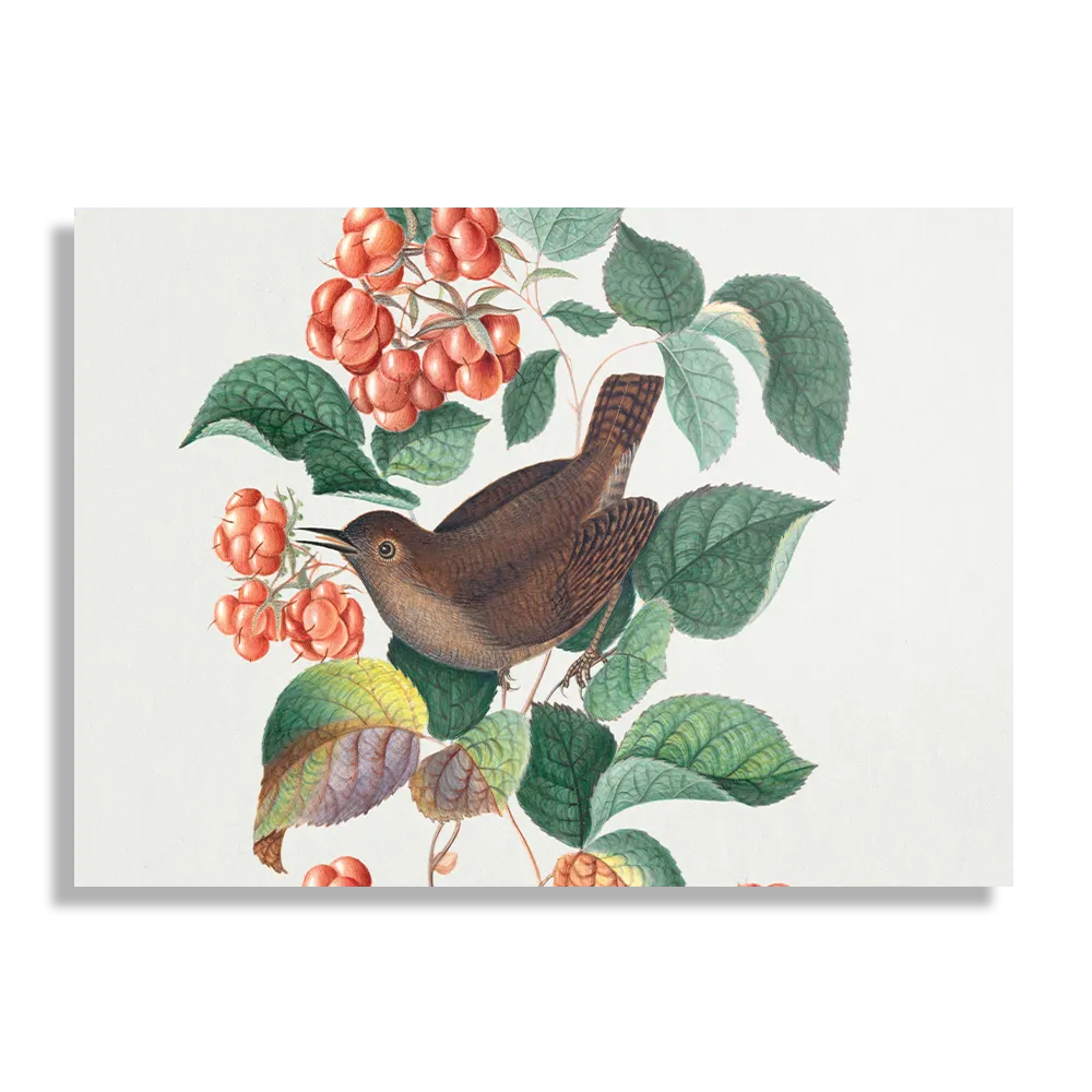 Schilderij Prent Natuur Vogel en Bloemen 08 Rechthoek Horizontaal Template DB 50 70 Horizontaal Vintage 8 1