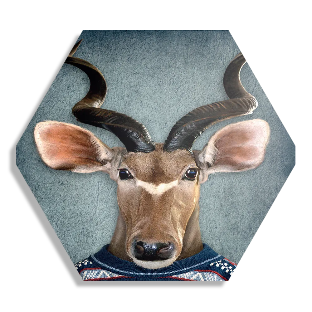 Template_Hexagon1_Ironisch_1-1 Schilderij Menselijke Bok Met Gebreide Trui Hexagon Template Hexagon1 Ironisch 1 1