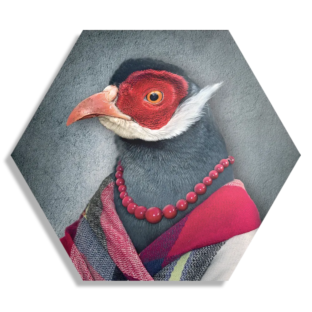 Template_Hexagon1_Ironisch_6-1 Schilderij Menselijke Vrouwelijke Vogel Hexagon Template Hexagon1 Ironisch 6 1