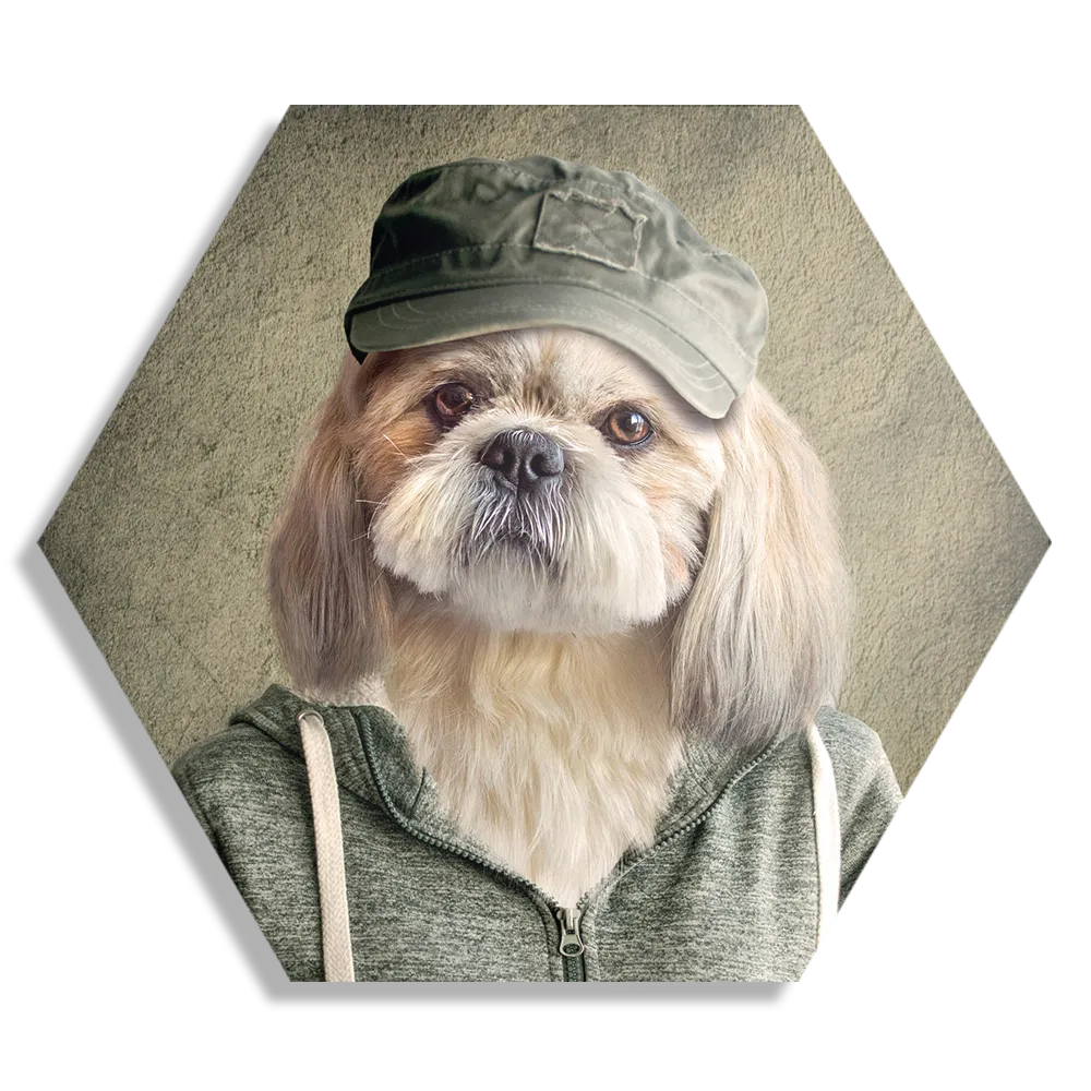 Schilderij Menselijke Hond Met Pet Hexagon Template Hexagon1 Ironisch 8 1