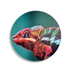Schilderij Kameleon Kleurrijk Rond – Muurcirkel Template TP DB Rond Dieren 10 1
