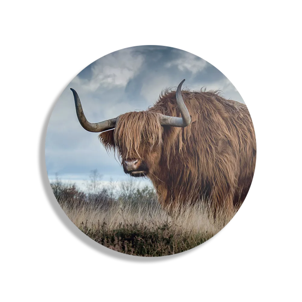 Schilderij Bizon Rond – Muurcirkel Template TP DB Rond Dieren 18 1