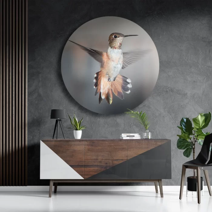 Schilderij De Vliegende Kolibrie Vogel Rond – Muurcirkel Template TP DB Rond Dieren 19 3