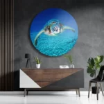Schilderij Zeeschildpad In Helderblauw Water 01 Rond – Muurcirkel Template TP DB Rond Dieren 21 3