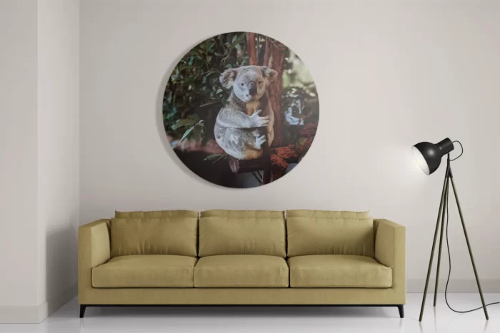 Schilderij De Vastgelamde Koala Rond – Muurcirkel Template TP DB Rond Dieren 23 2