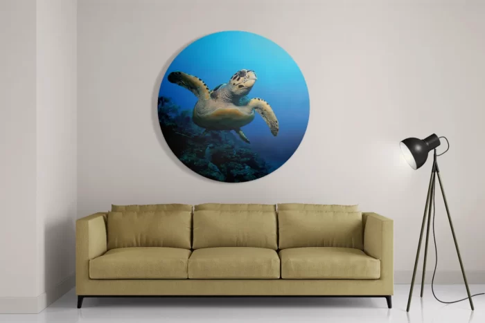 Schilderij Zeeschildpad In Helderblauw Water 02 Rond – Muurcirkel Template TP DB Rond Dieren 26 2