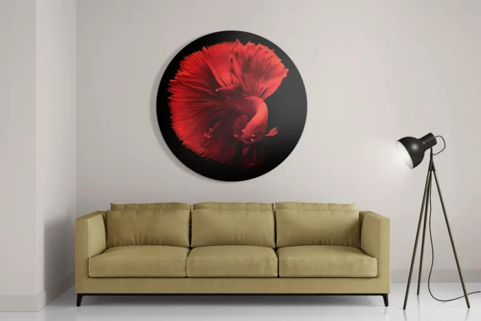 Schilderij Red Dragon Siamese Fighting Fish Rond – Muurcirkel Template TP DB Rond Dieren 32 2
