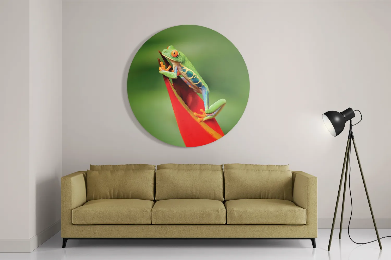 Schilderij Roodoog Boomkikker Rond – Muurcirkel Template TP DB Rond Dieren 35 2