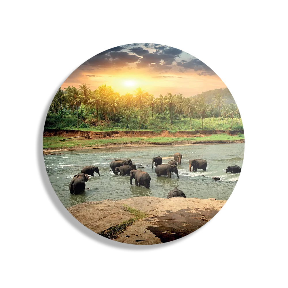Template_TP_DB_Rond_Dieren_39-1 Schilderij De Rivier Olifanten Rond – Muurcirkel Template TP DB Rond Dieren 39 1