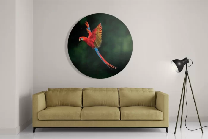 Schilderij Vliegende Ara Vogel Rond – Muurcirkel Template TP DB Rond Dieren 40 2