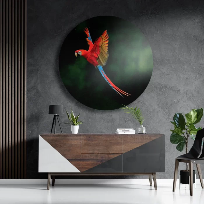 Schilderij Vliegende Ara Vogel Rond – Muurcirkel Template TP DB Rond Dieren 40 3