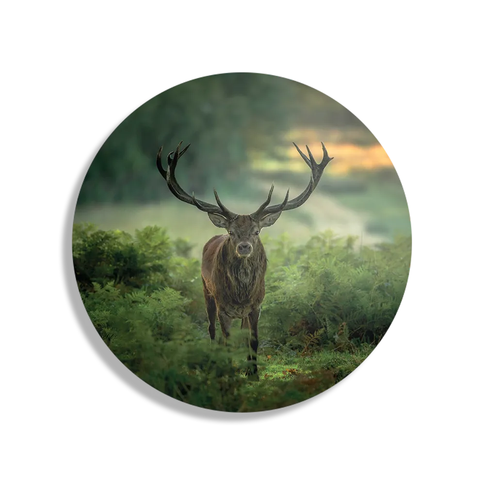 Schilderij Edelhert In Het Bos Rond – Muurcirkel Template TP DB Rond Dieren 45 1