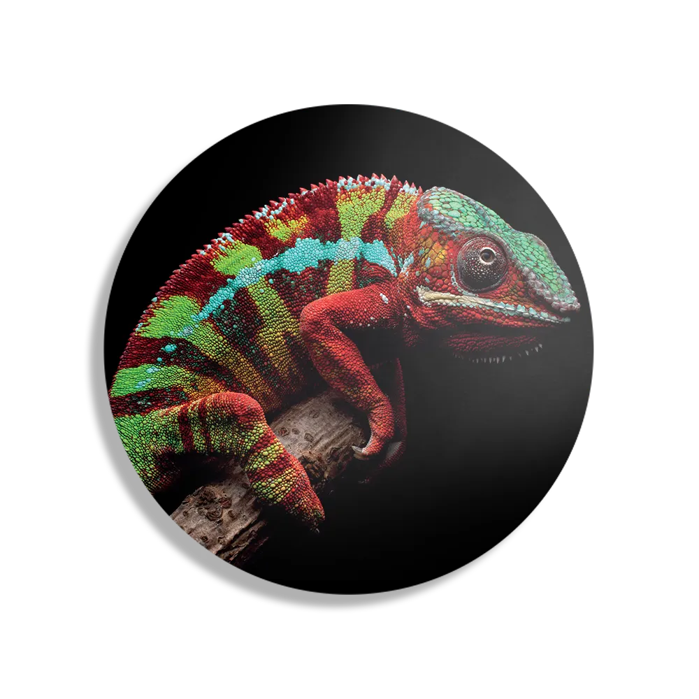 Schilderij De Kameleon Rond – Muurcirkel Template TP DB Rond Dieren 46 1